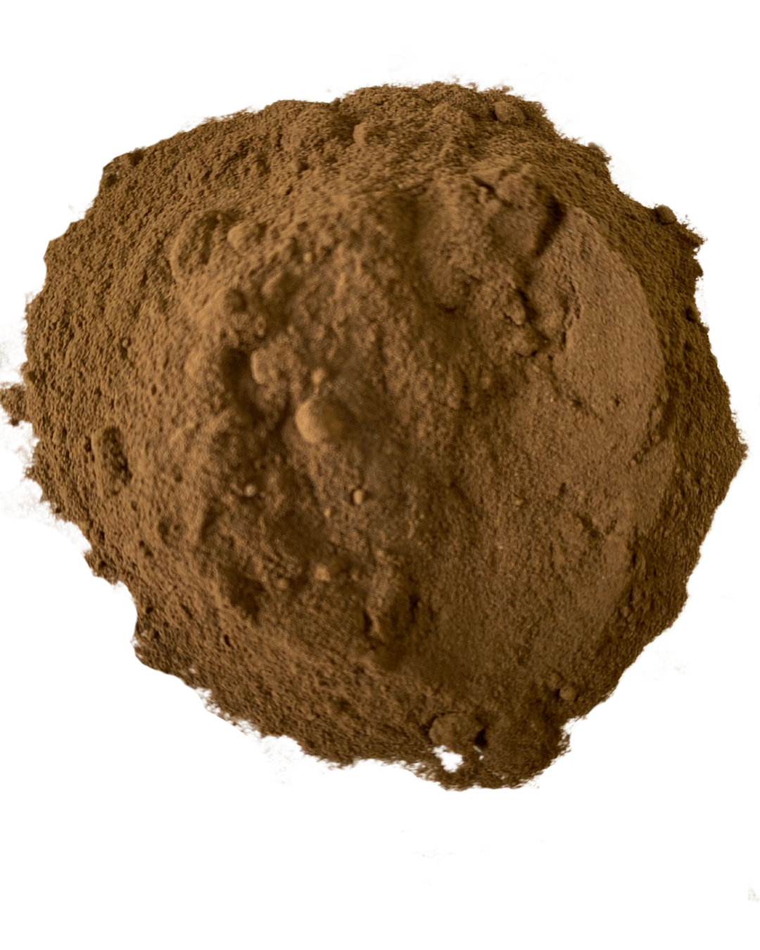 St. John's Wort 10:1 Extract Powder