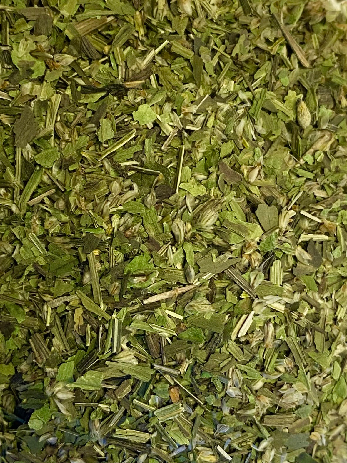 Plantago lanceolata (Wholesale)