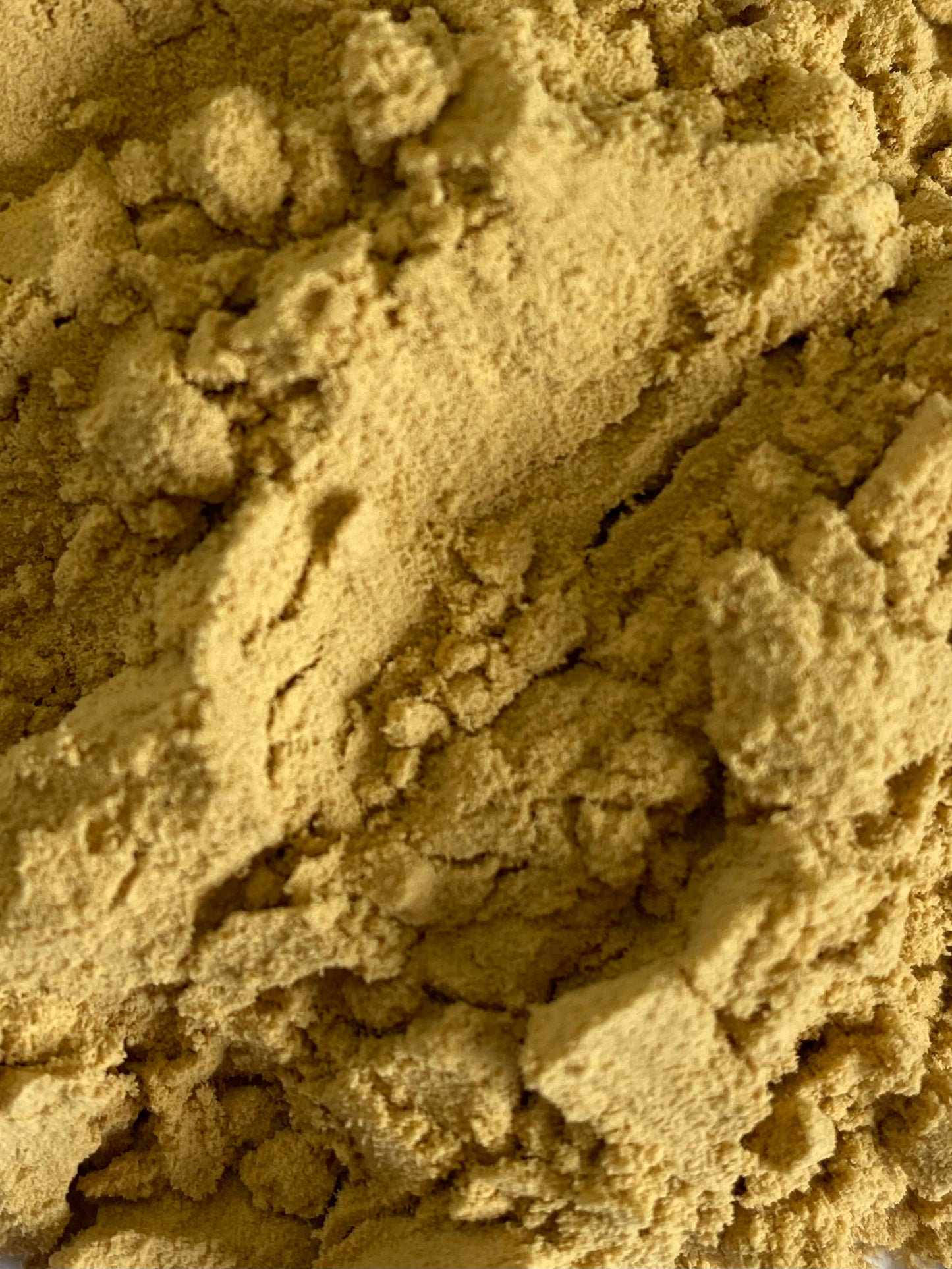Lion's Mane 8:1 Dual Extract Fruiting Body Powder
