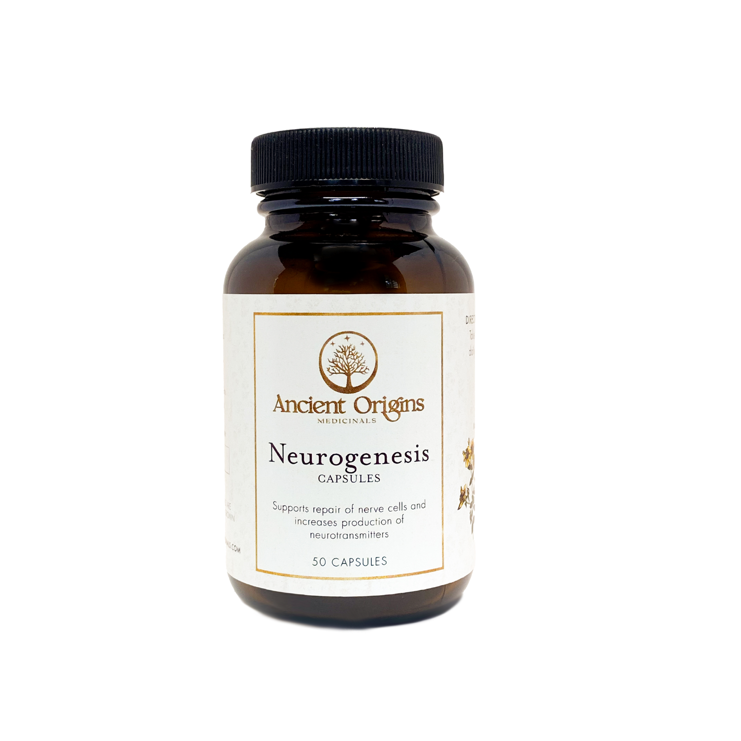 Neurogenesis Capsules