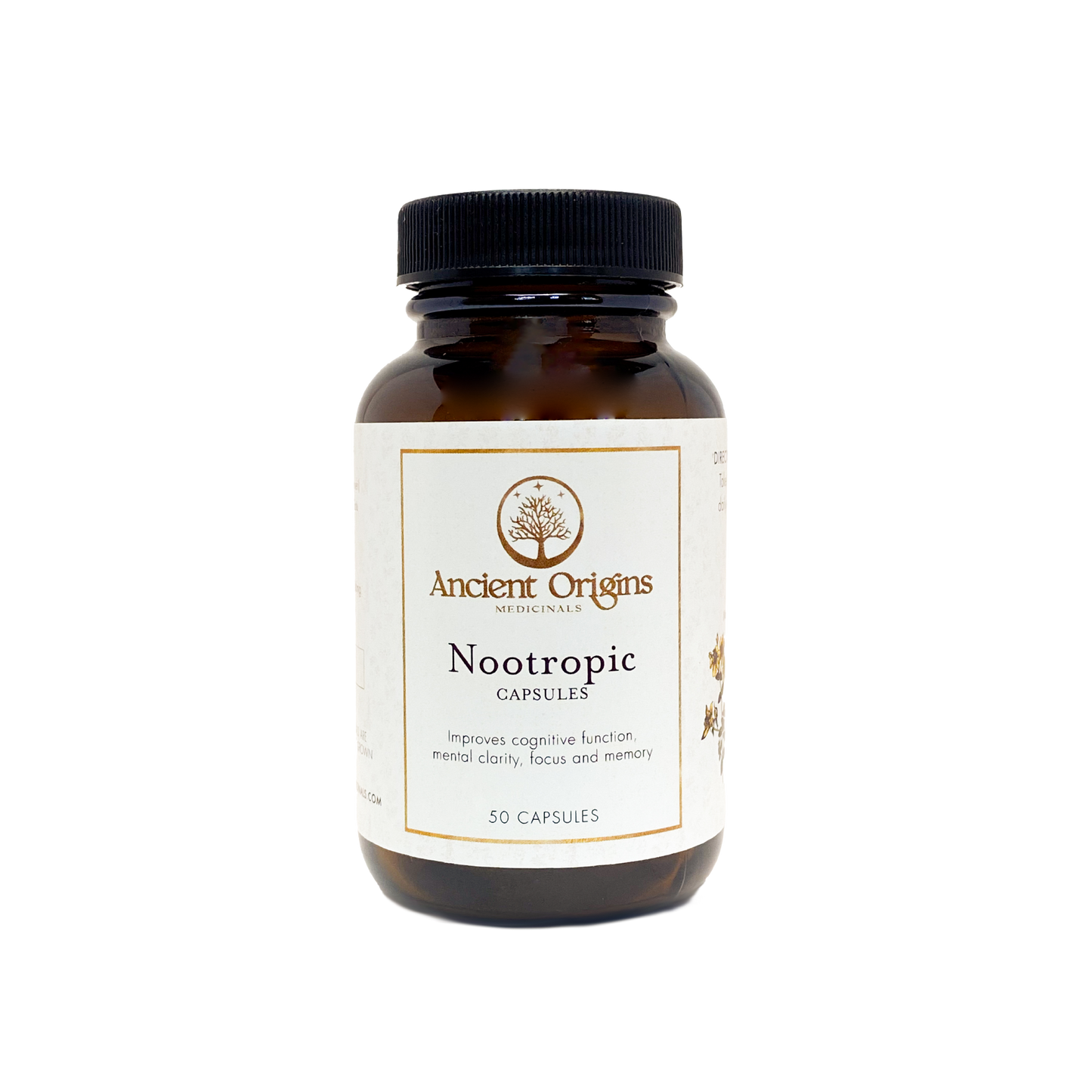 Nootropic Capsules