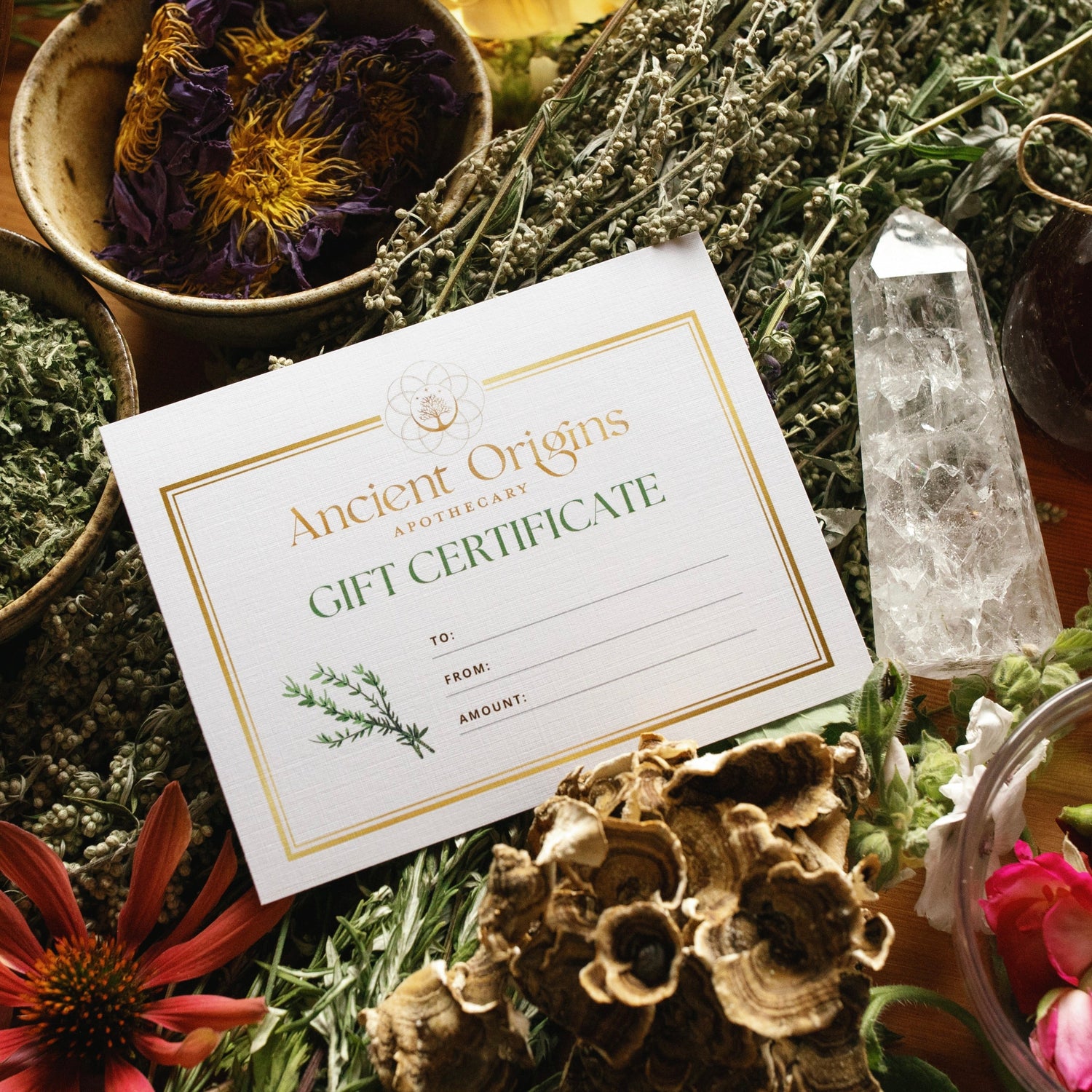 Gift Certificate