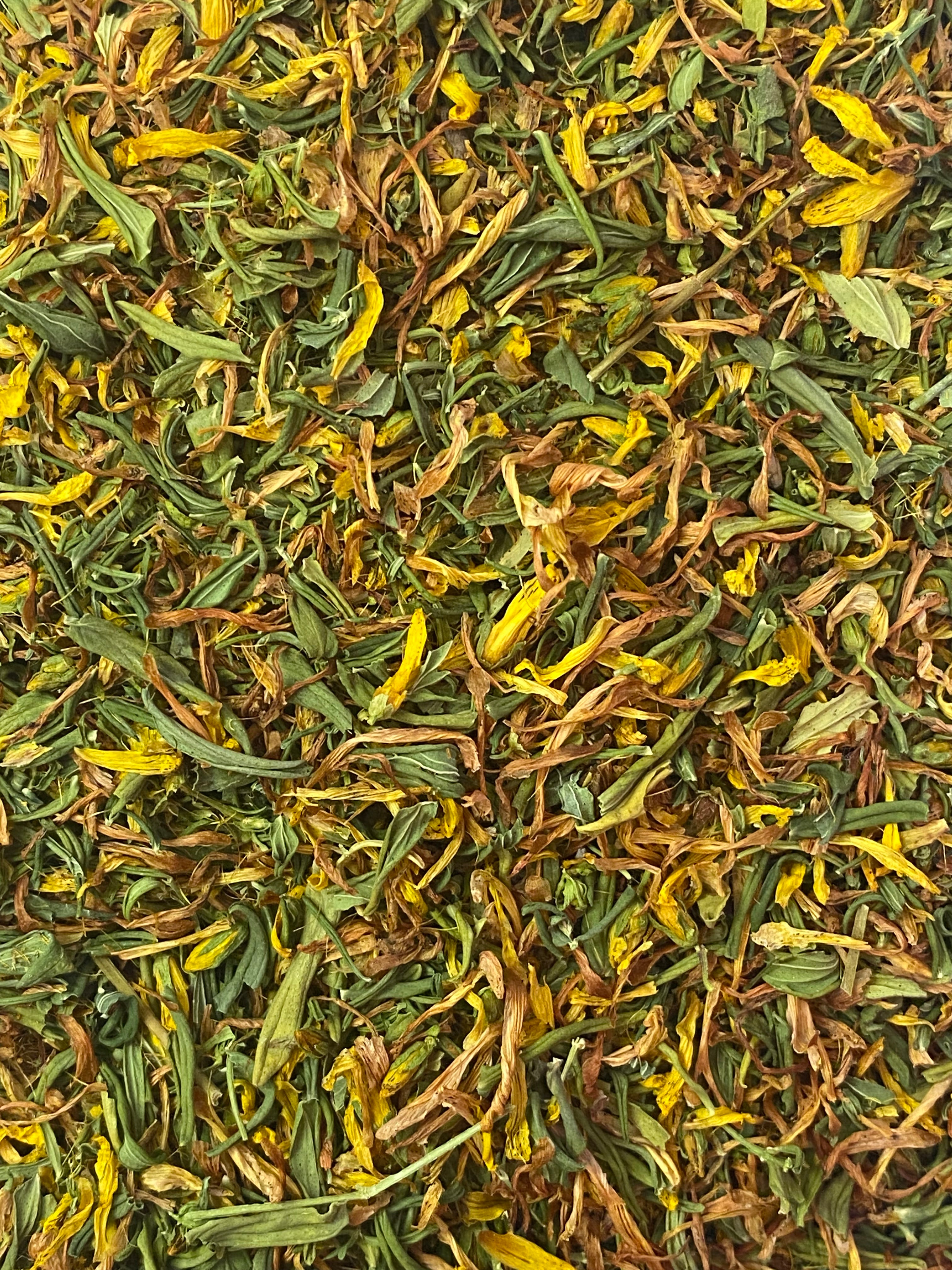 Dried St. John's Wort (Hypericum perfoliatum)