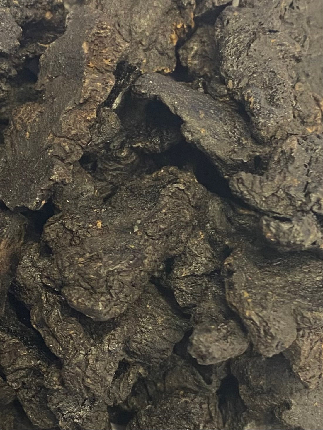 Dried Shu Di Huang (Rehmannia glutinosa)