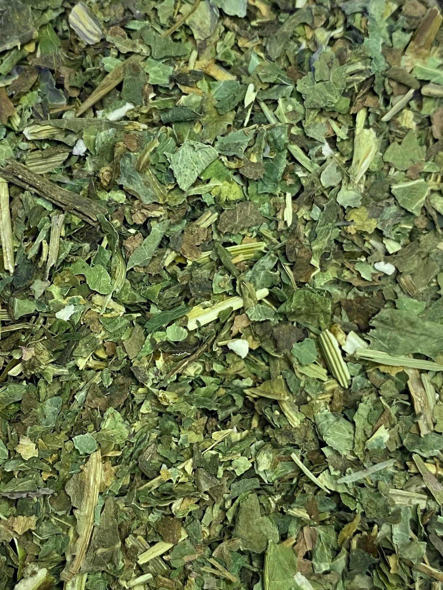 Dried Wild Lettuce (Lactuca virosa)