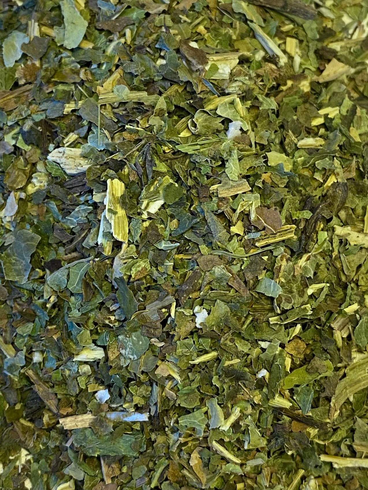 Dried Motherwort (Leonurus cardiaca)