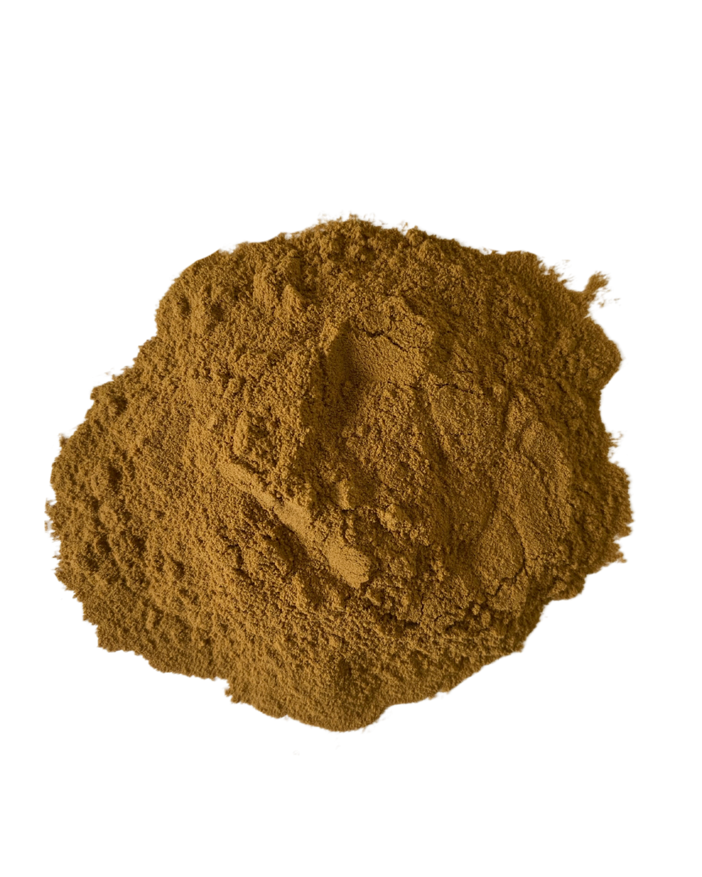 Bacopa 10:1 Extract Powder