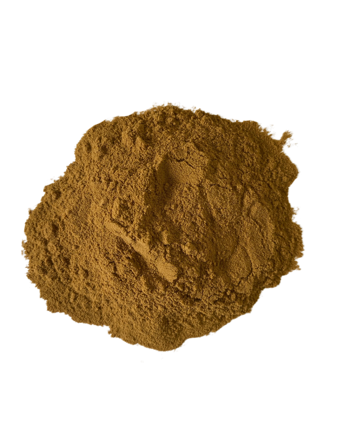 Bacopa 10:1 Extract Powder