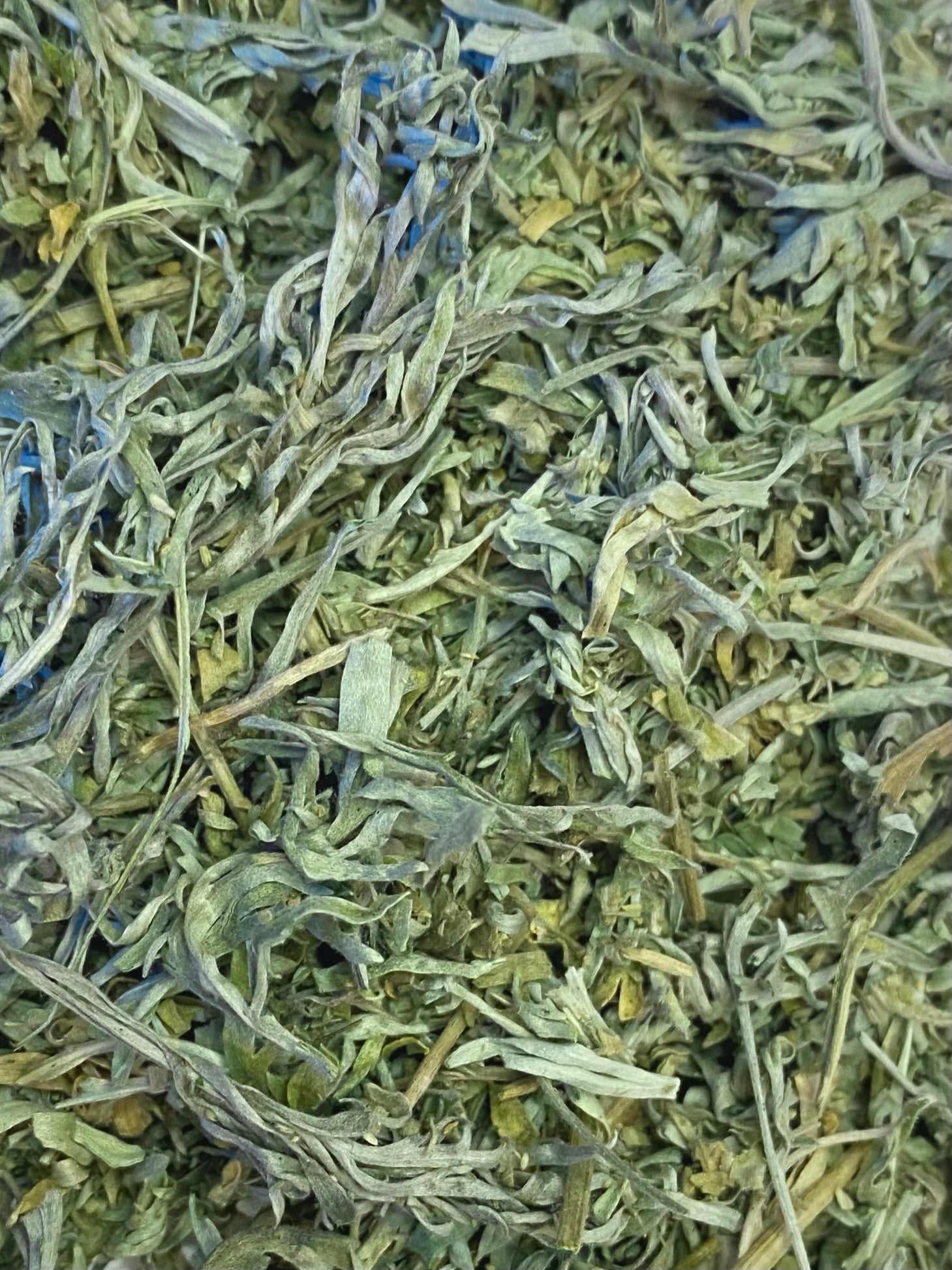 Dried Wormwood (Artemisia absinthium)