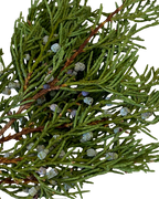 Juniper Smoke Medicine