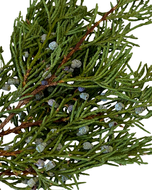 Juniper Smoke Medicine