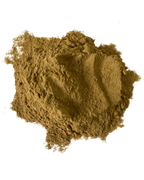 Gotu Kola 10:1 Extract Powder