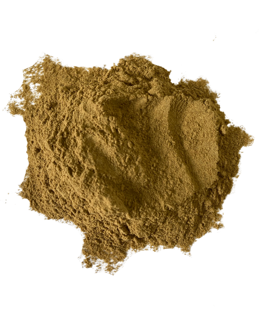 Gotu Kola 10:1 Extract Powder