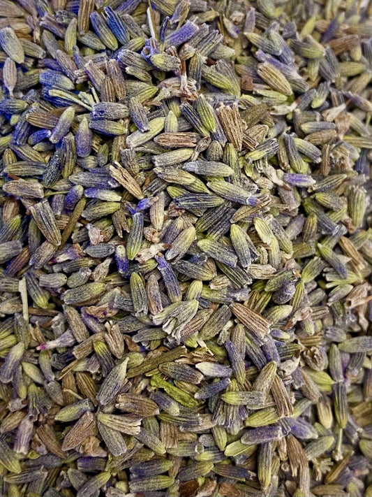 Dried Lavender (Lavandula officinalis)