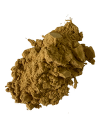 Damiana 10:1 Extract Powder