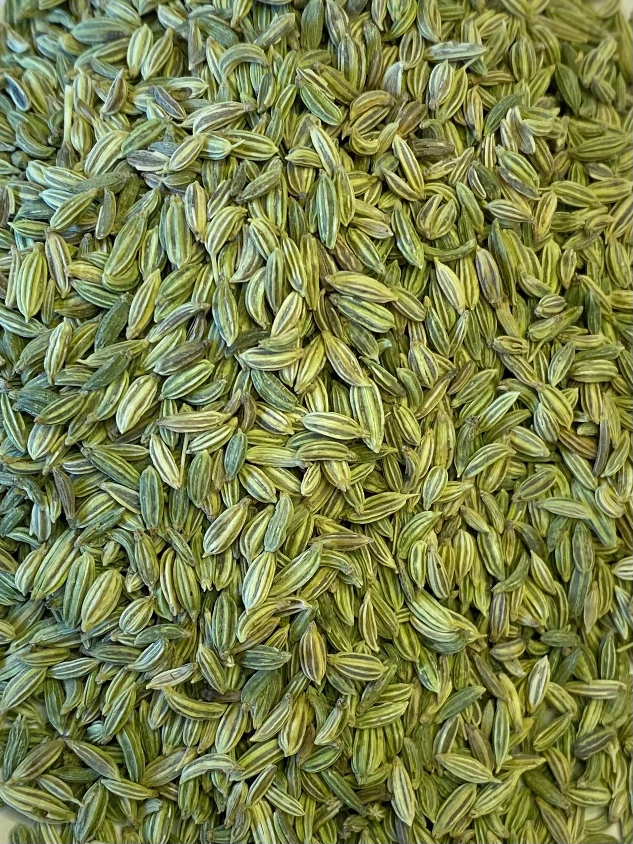 Dried Fennel (Foeniculum vulgaris)