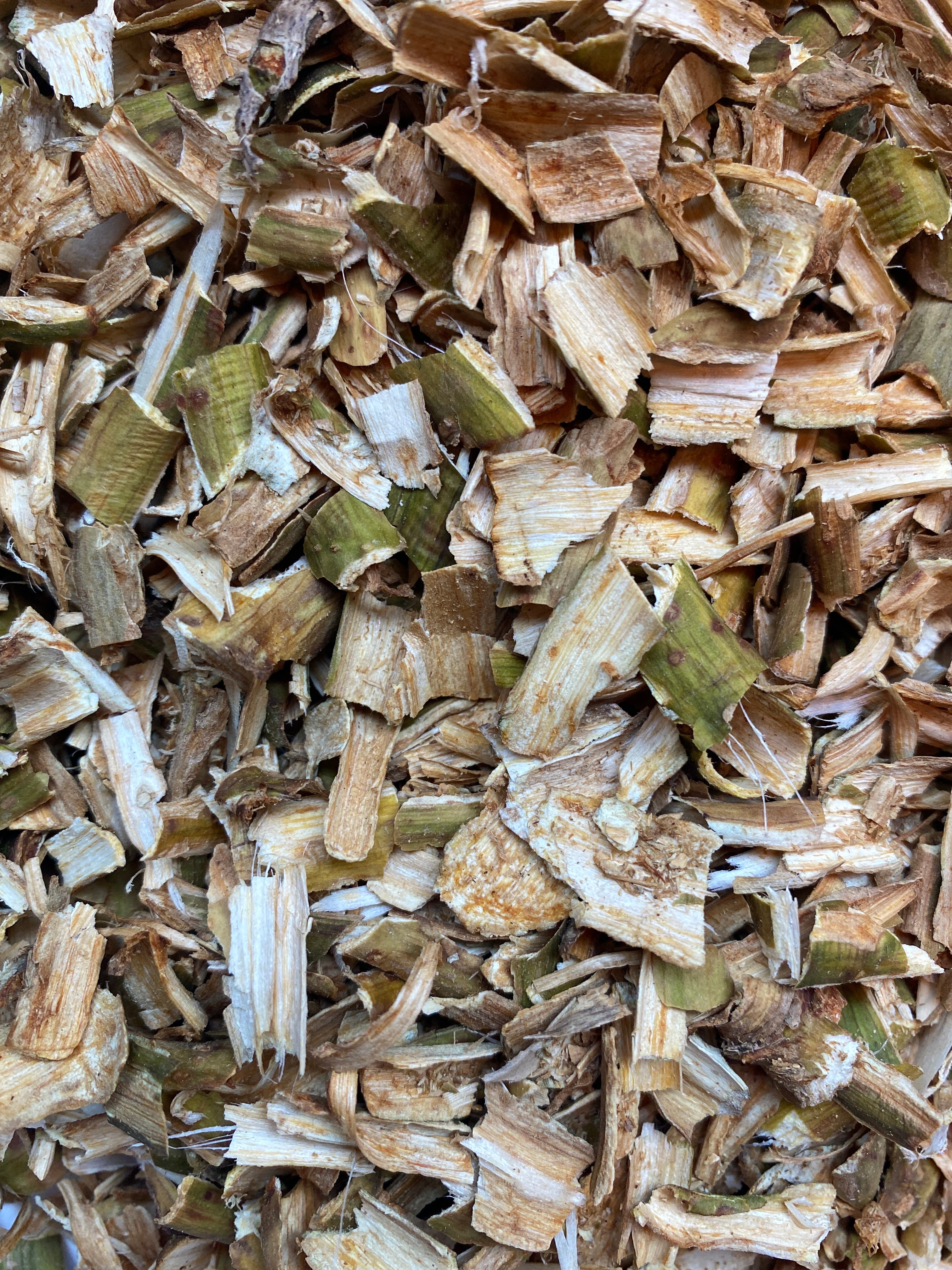 Dried Devil's Club (Oplopanax horridus)