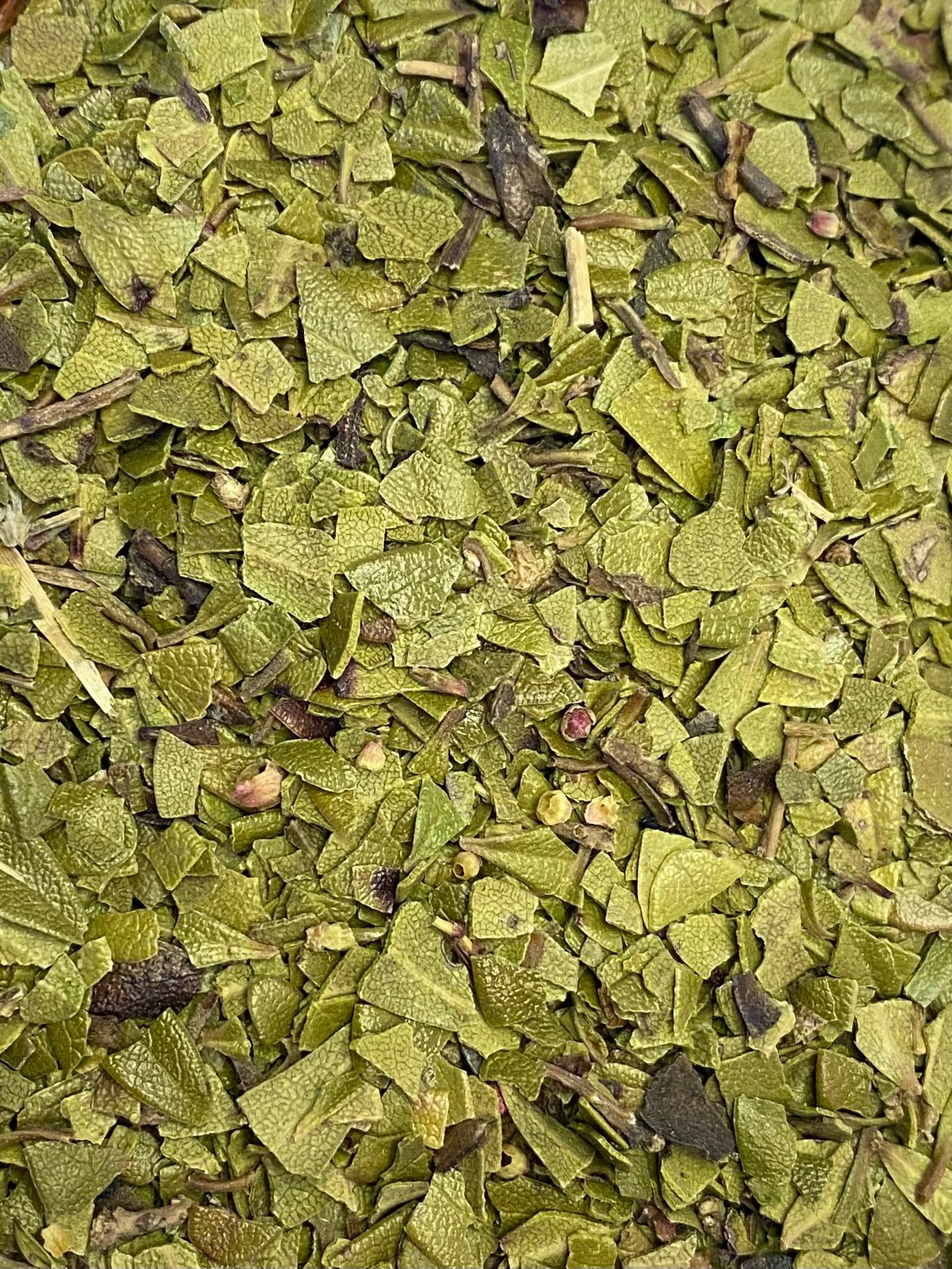 Dried Bearberry (Arctostaphylos uva ursi)