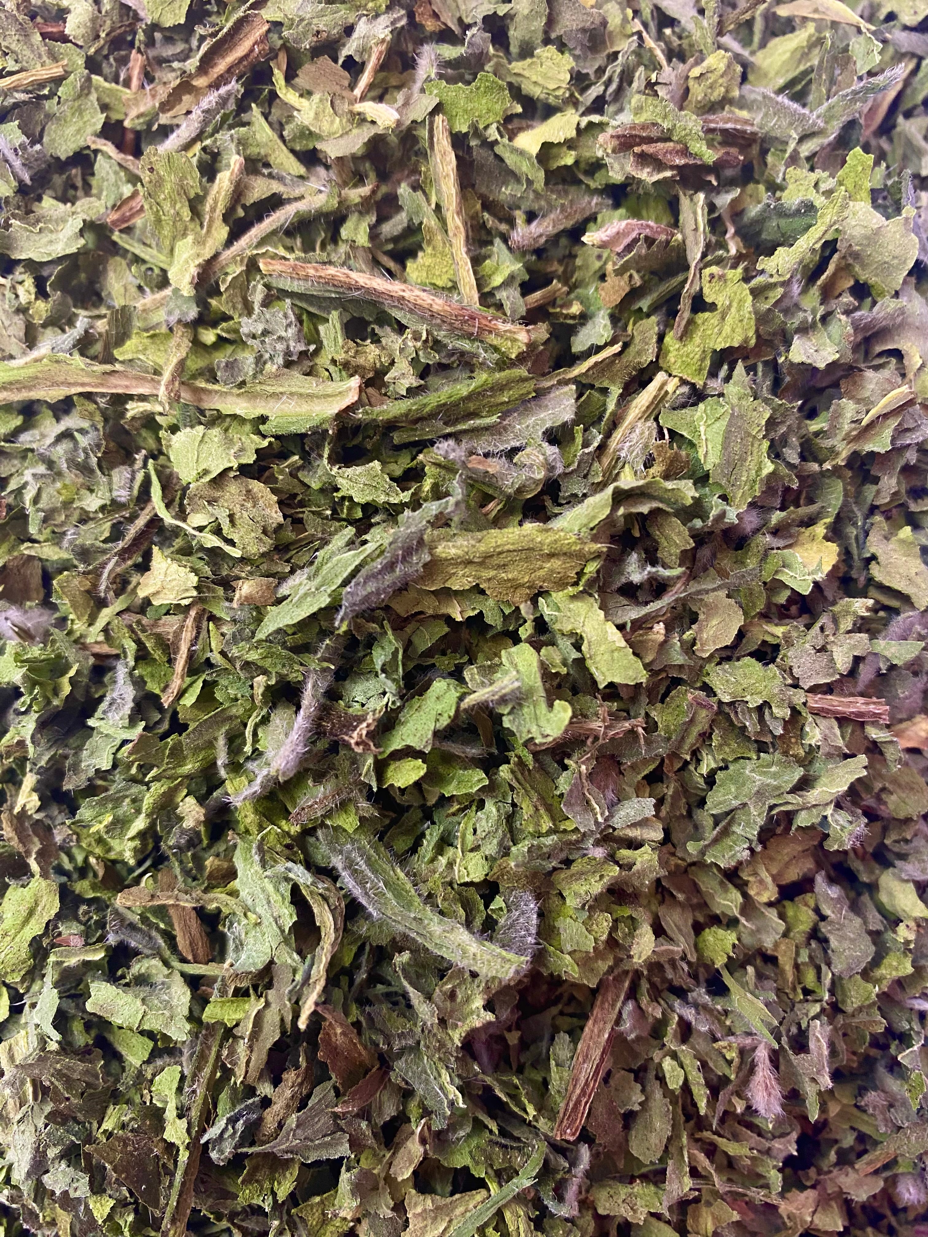 Dried Borage (Borago officinalis)