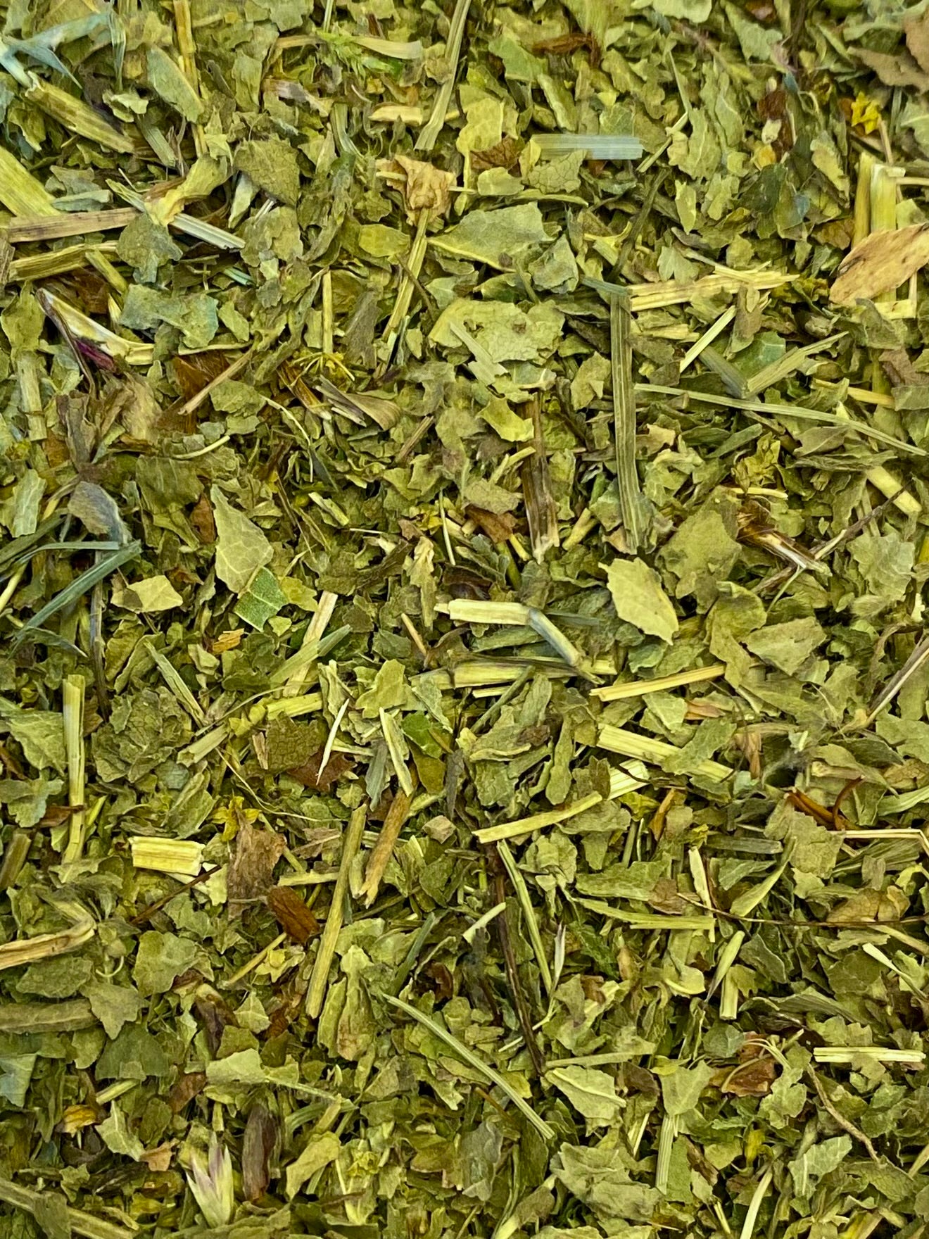 Dried Lady's Mantle (Alchemillia vulgaris)