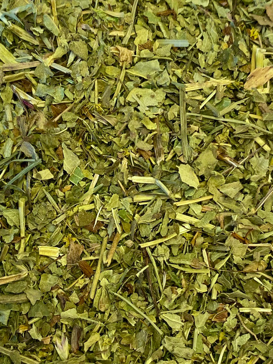 Dried Lady's Mantle (Alchemillia vulgaris)