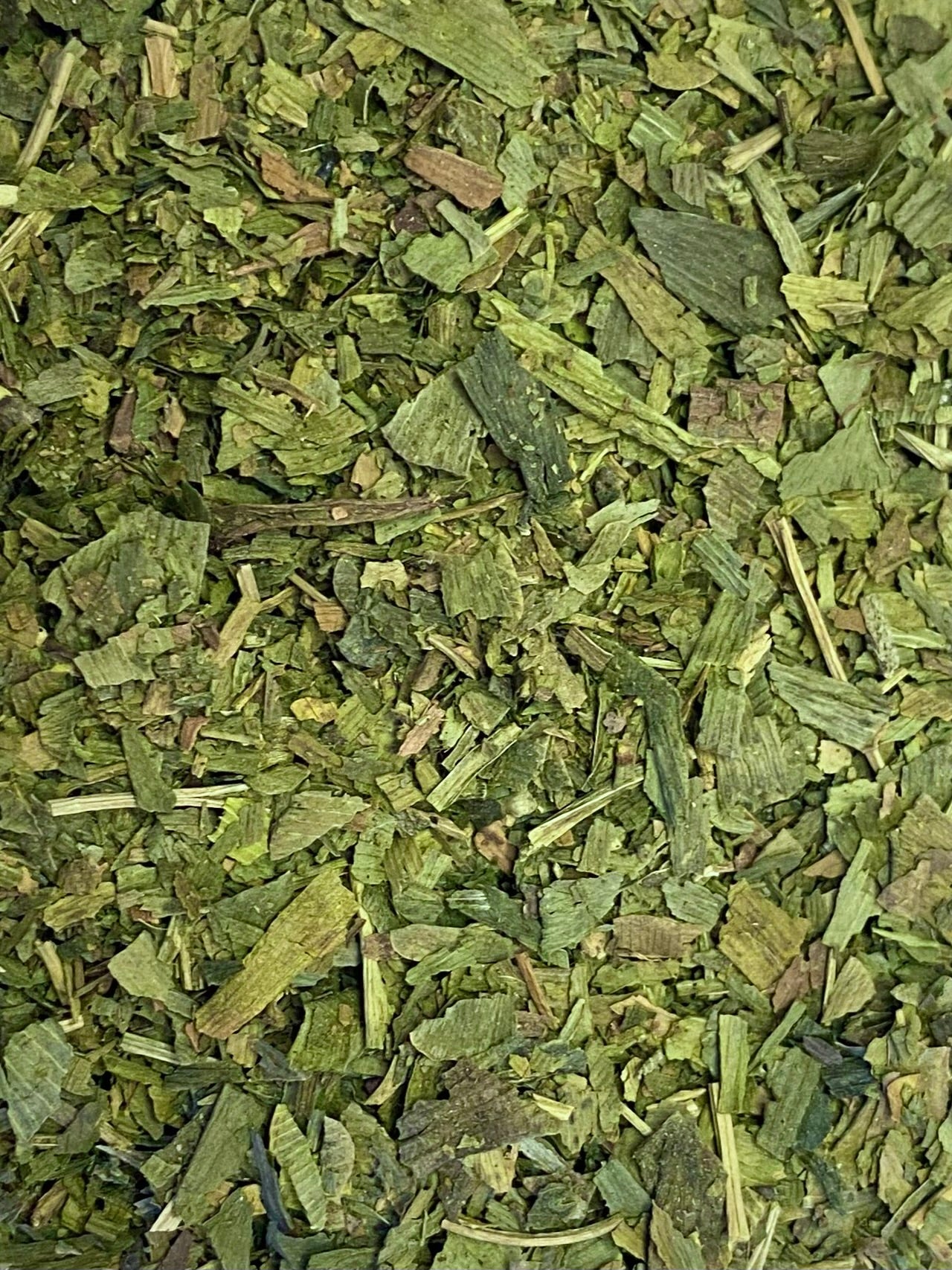 Dried Ginkgo (Ginkgo biloba)