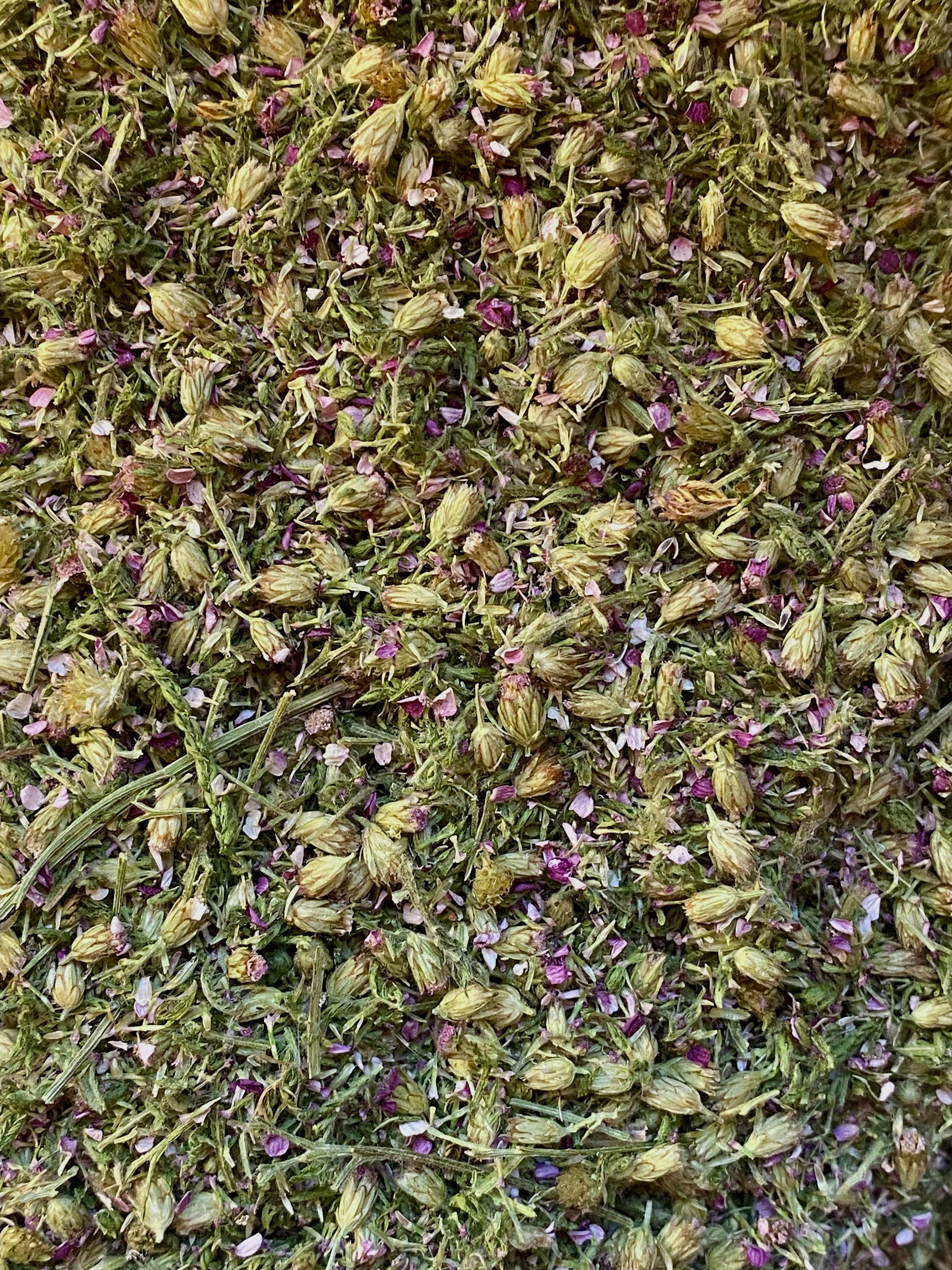 Dried Yarrow (Pink) (Achillea millifolium)