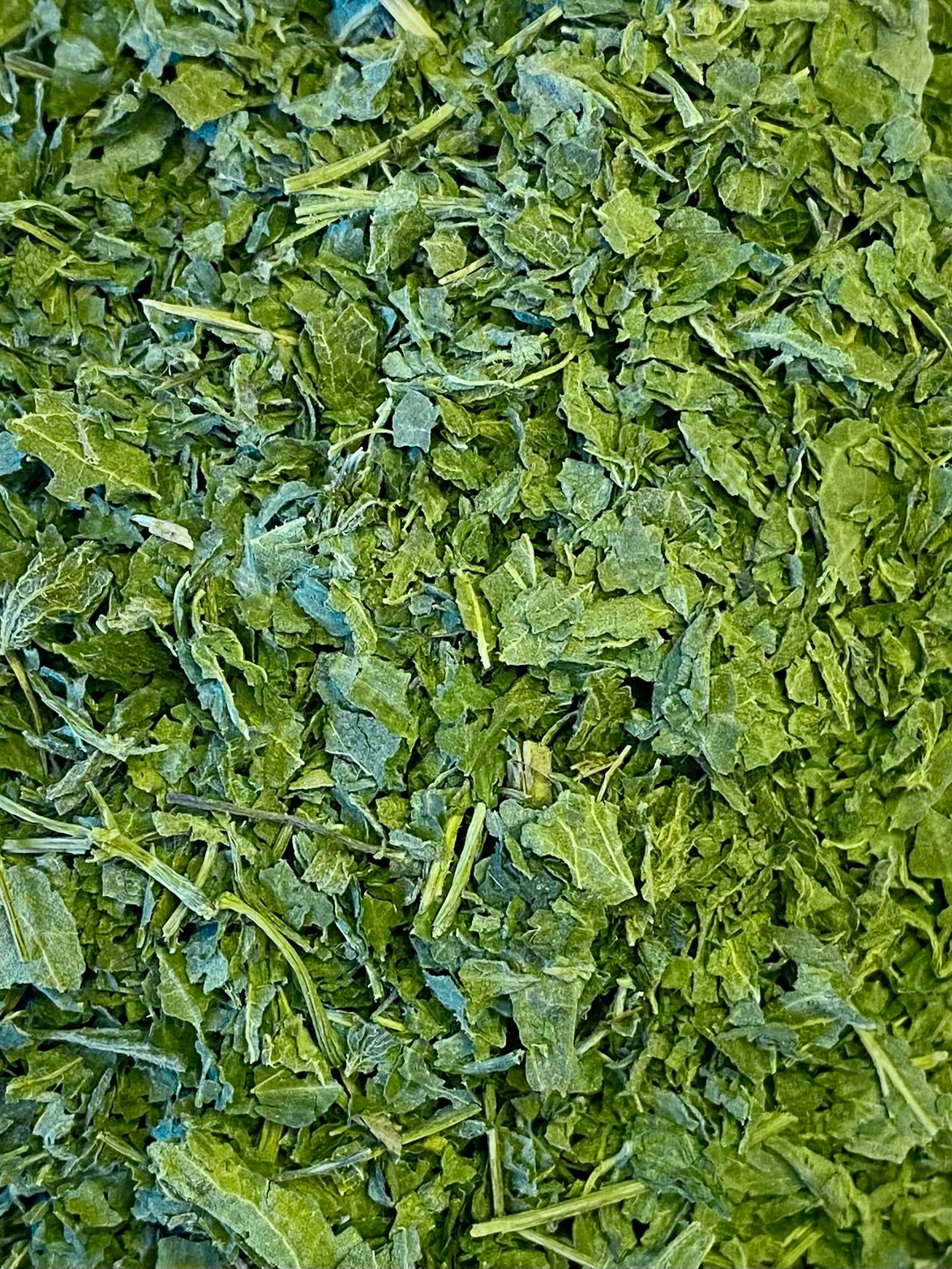 Dried Nettle (Urtica dioica)