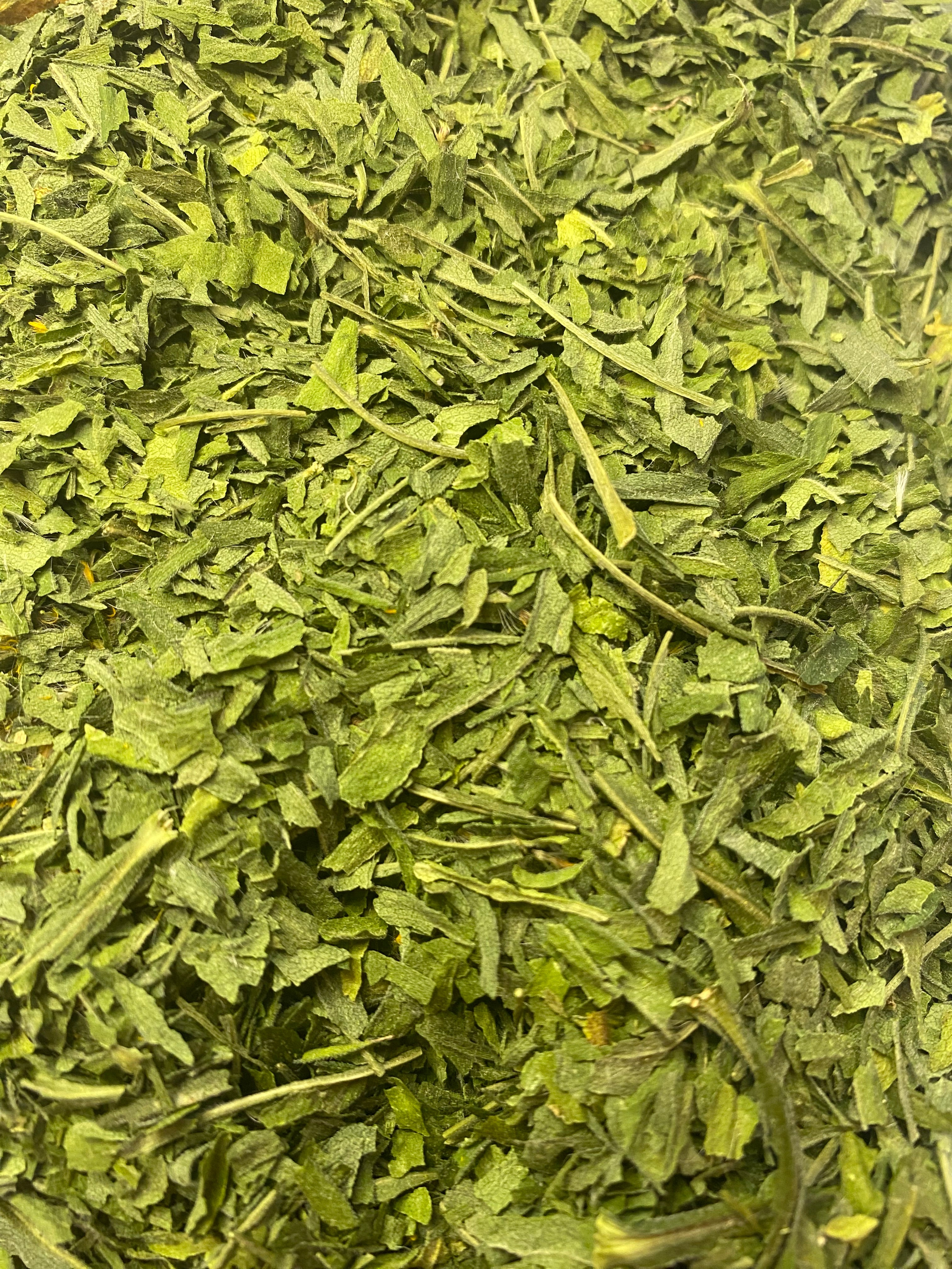 Dried Goldenrod (Solidago virgaurea)