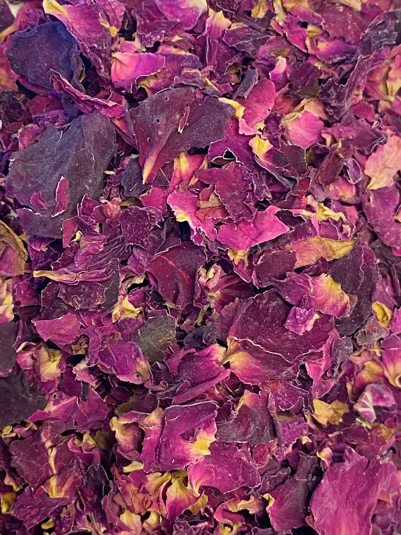 Dried Rose (Rosa spp. FLOS)