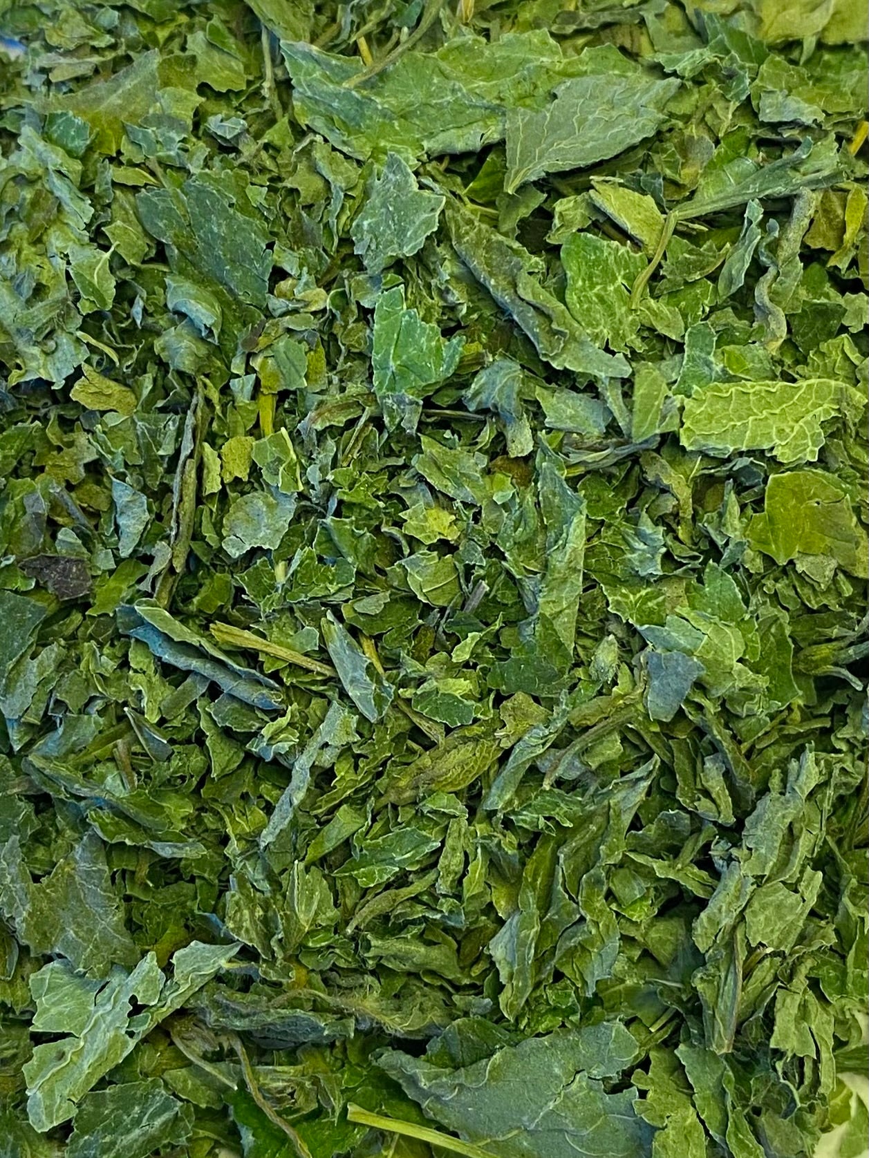 Dried Lemon Balm (Melissa officinalis)