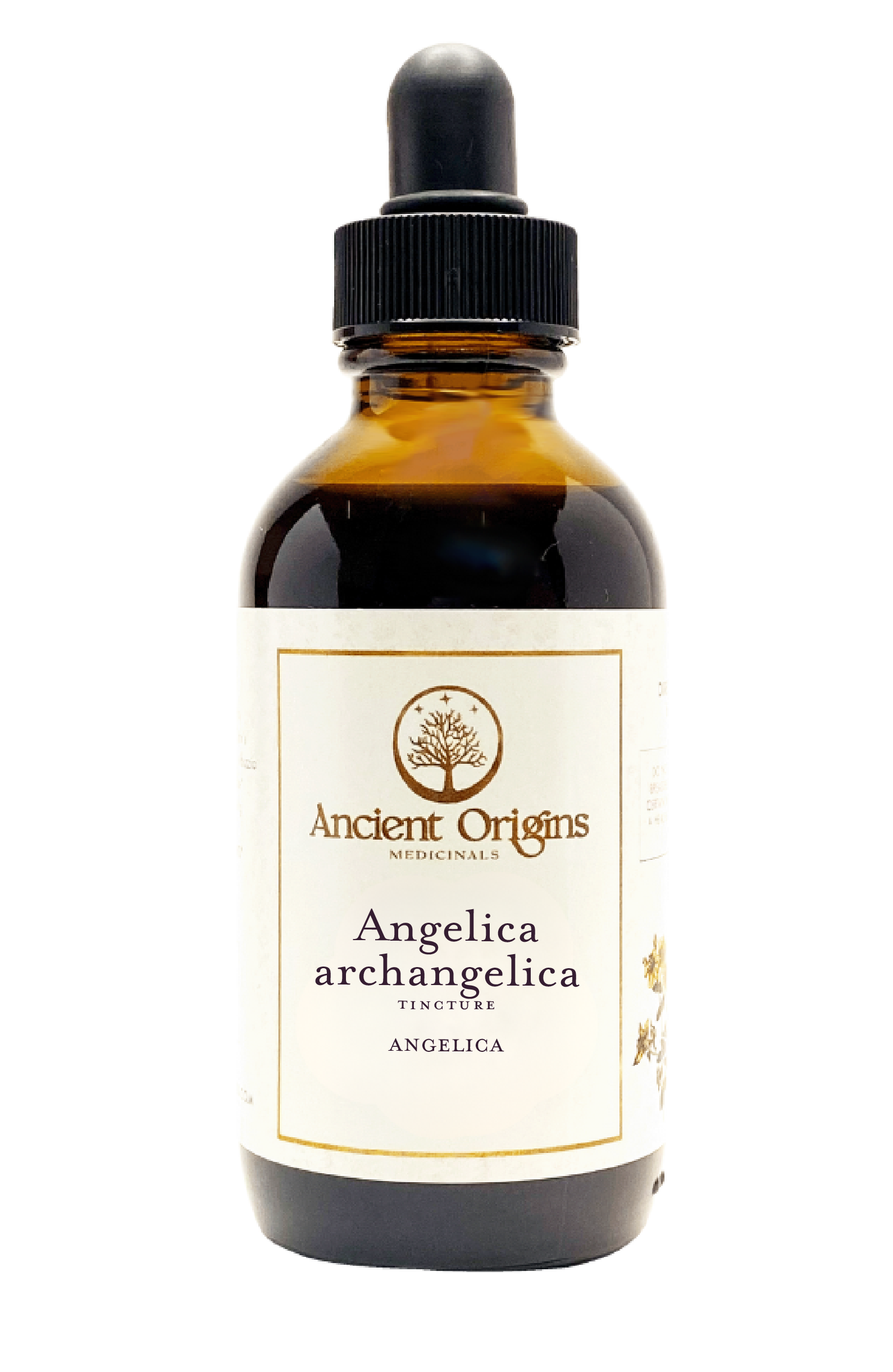 Angelica Archangelica Tincture