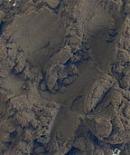 Chaga 8:1 Dual Extract Fruiting Body Powder