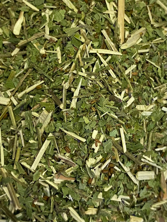 Verbena hastata (Wholesale)