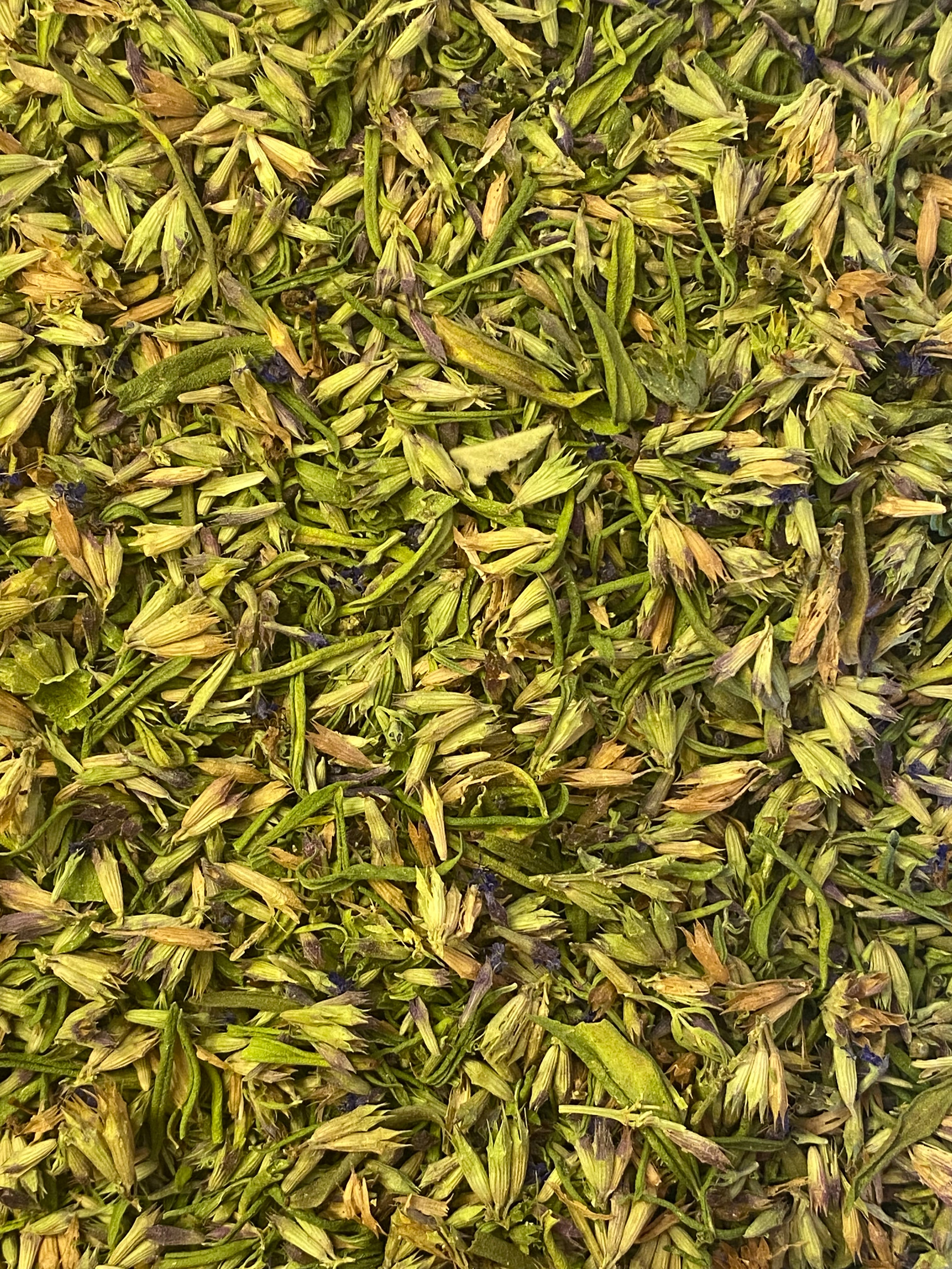 Dried Hyssop (Hyssopus officinalis)