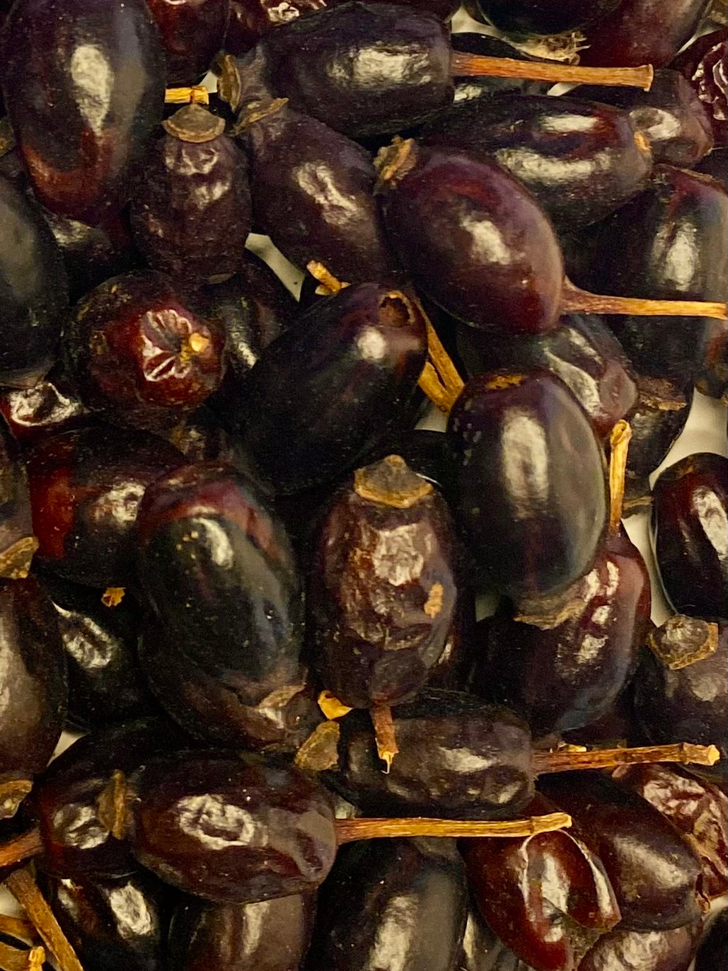 Dried Rose Hips (Rosa spp. FRUC)