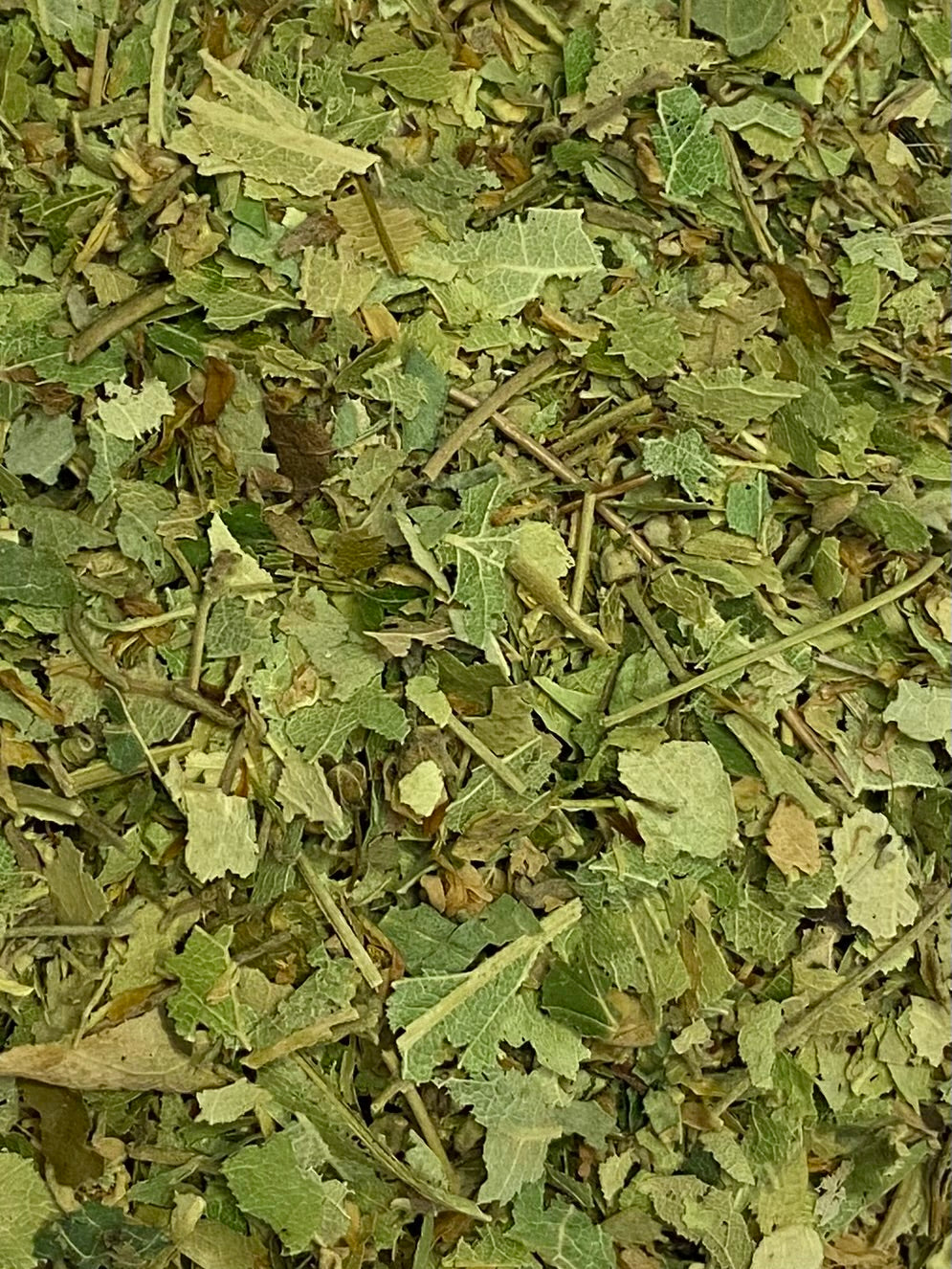 Dried Linden (Tilia europaea)