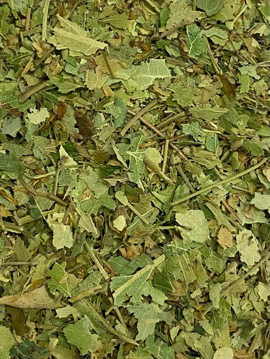 Dried Linden (Tilia europaea)