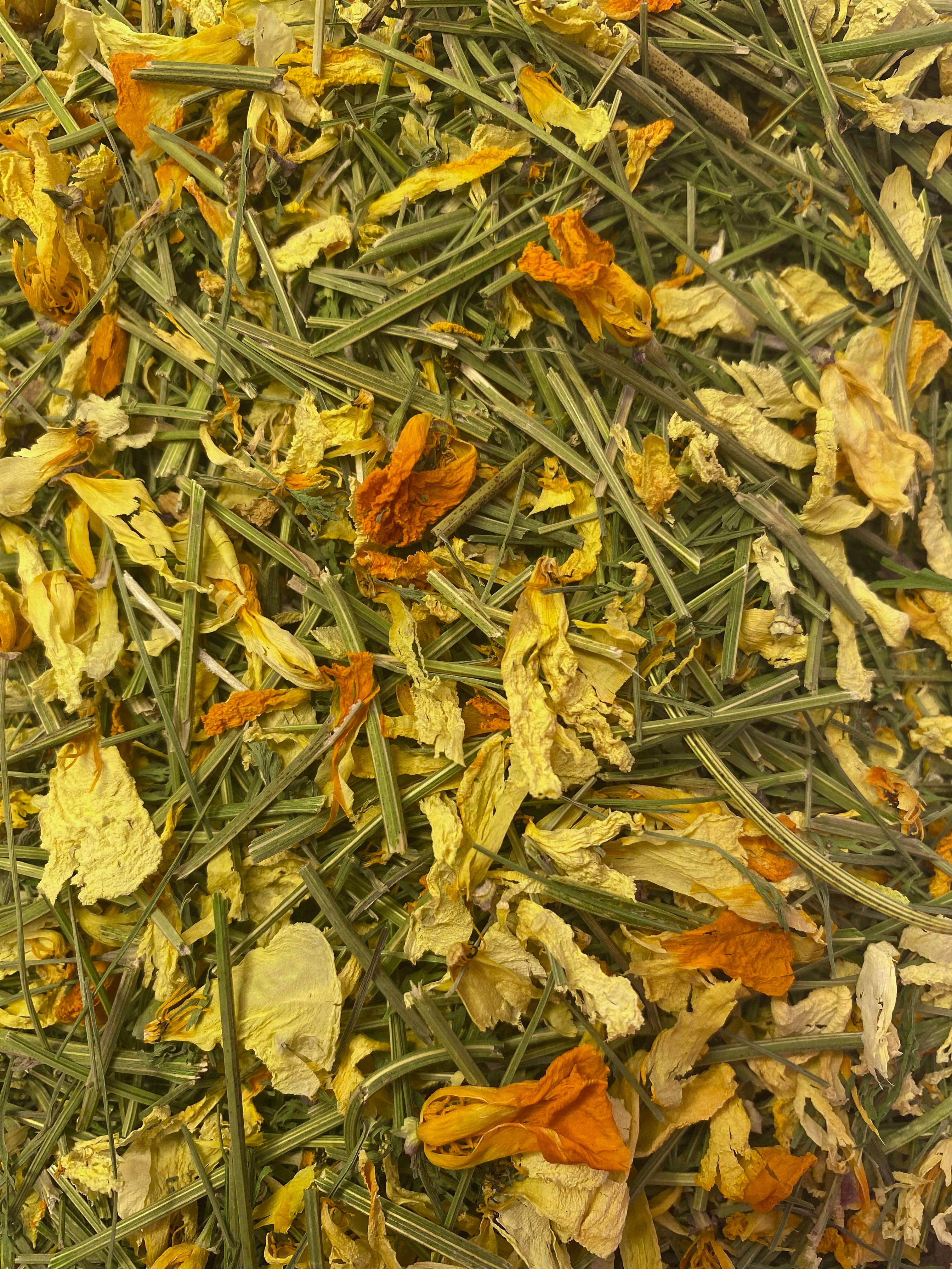 Dried California Poppy (Eschscholzia californica)