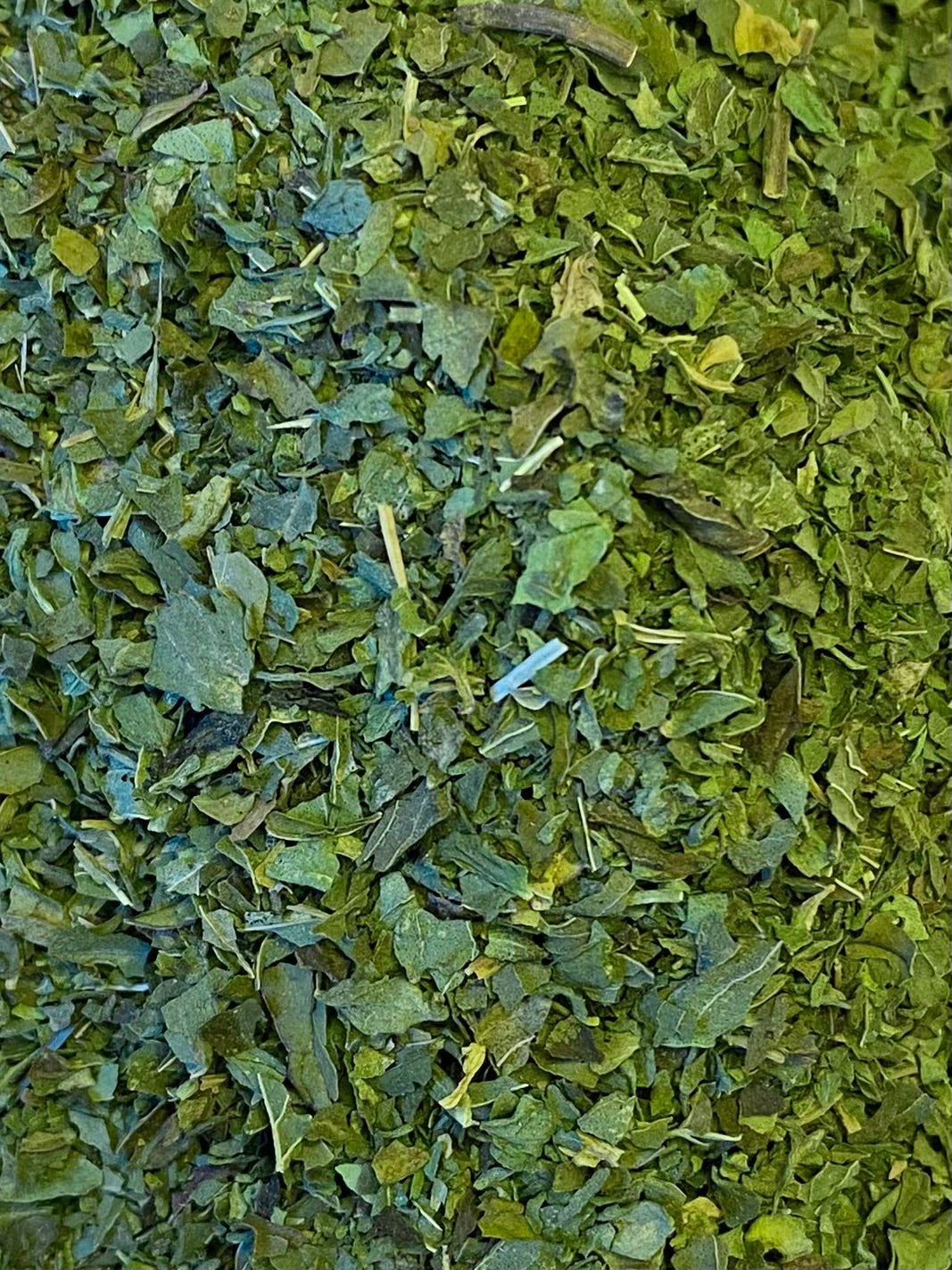 Dried Peppermint (Mentha x piperita)