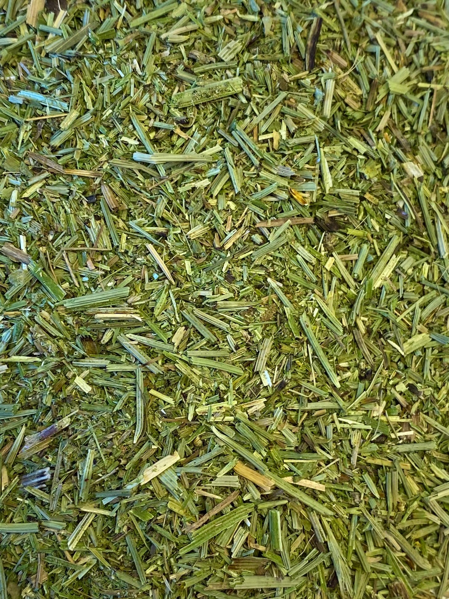 Dried Horsetail (Equisetum arvense)