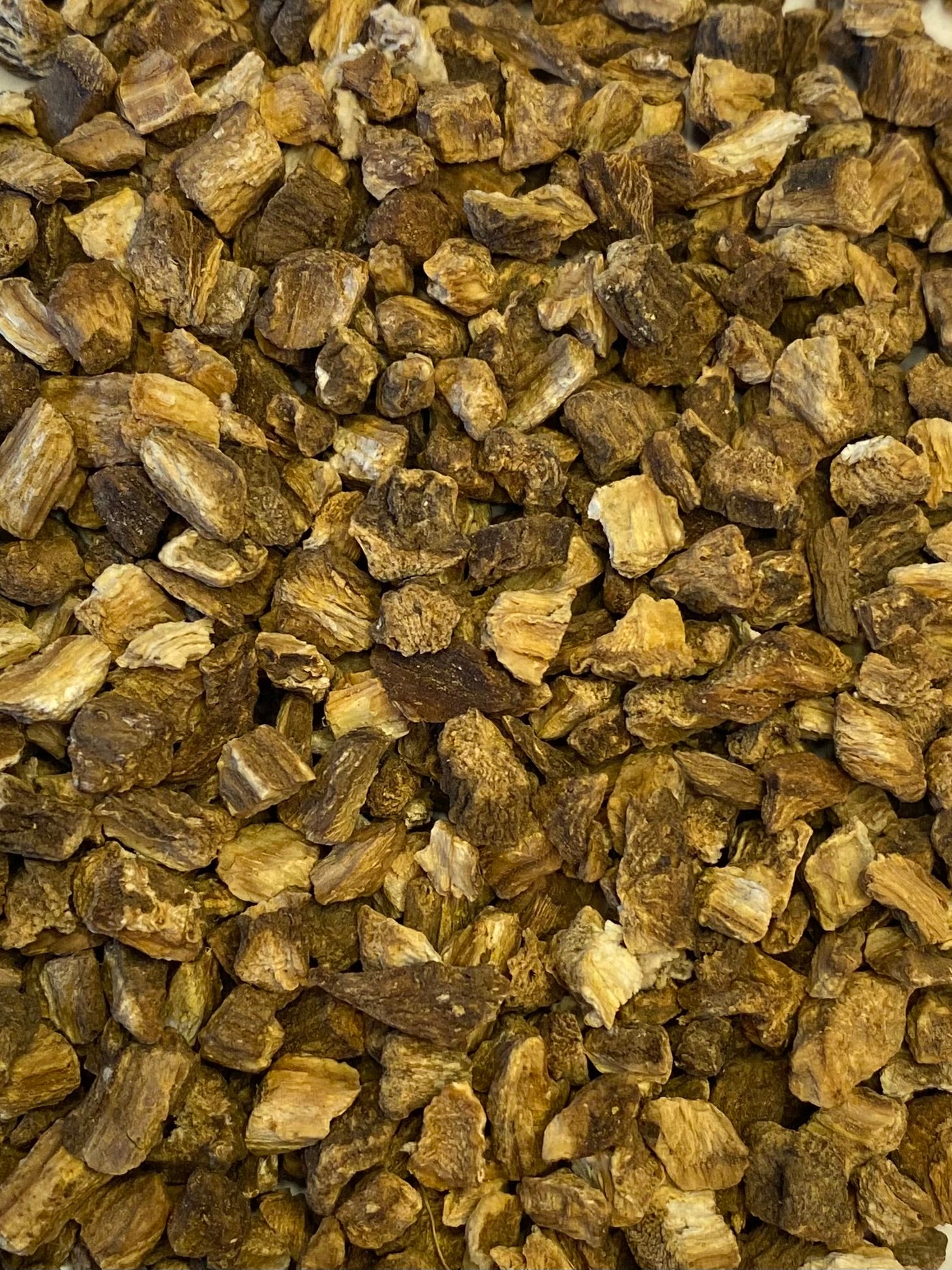 Dried Burdock (Arctium lappa)