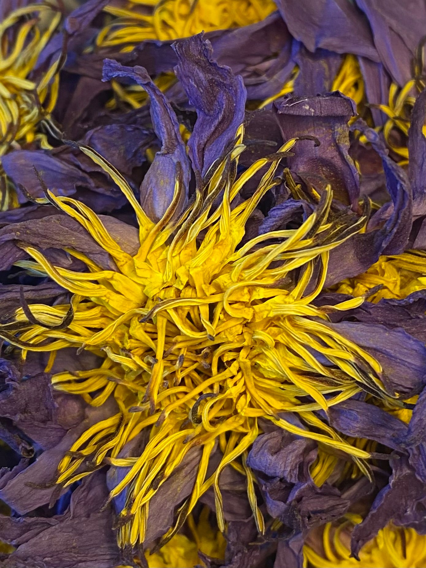 Blue Lotus Smoke Medicine