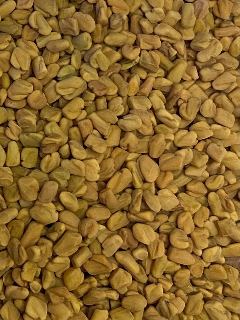 Dried Fenugreek (Trigonella foenum grecum)