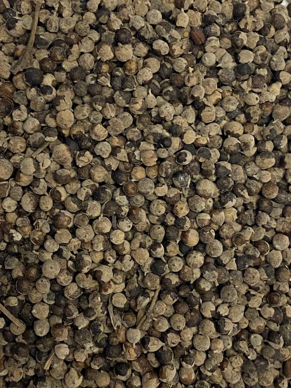 Dried Chaste Tree (Vitex agnus-castus)