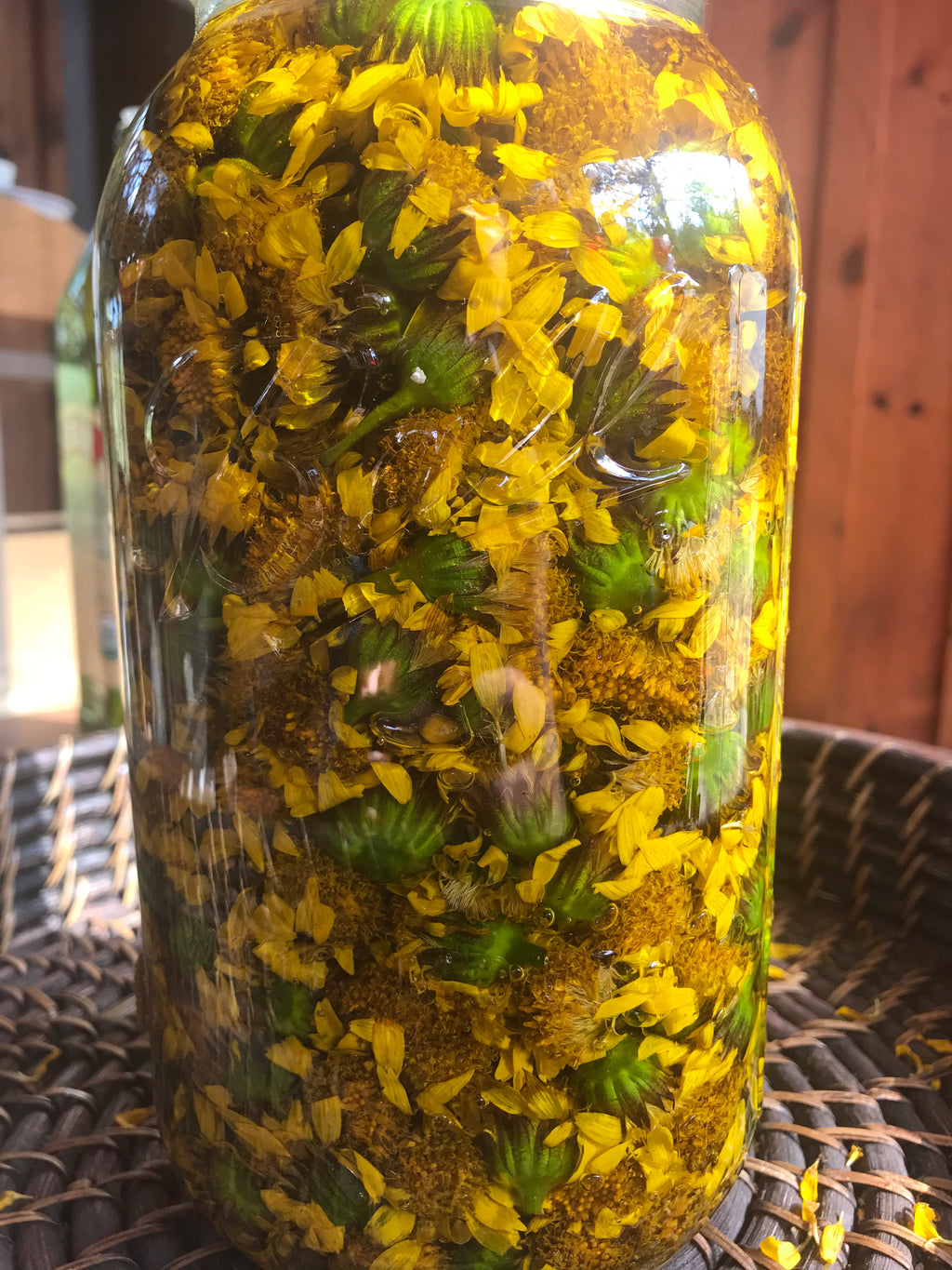Arnica Infused Oil
