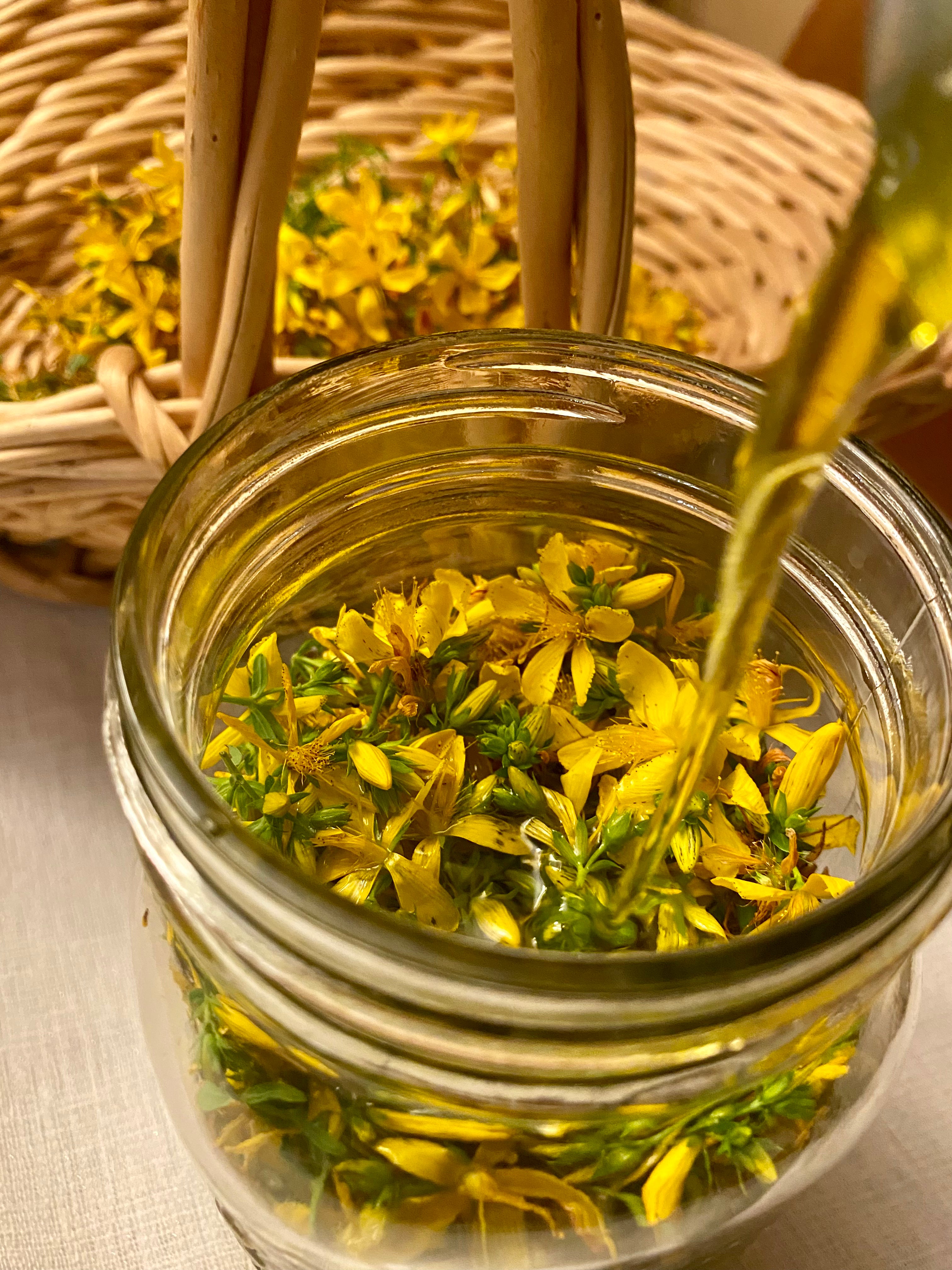 St. John's Wort Infused Oil