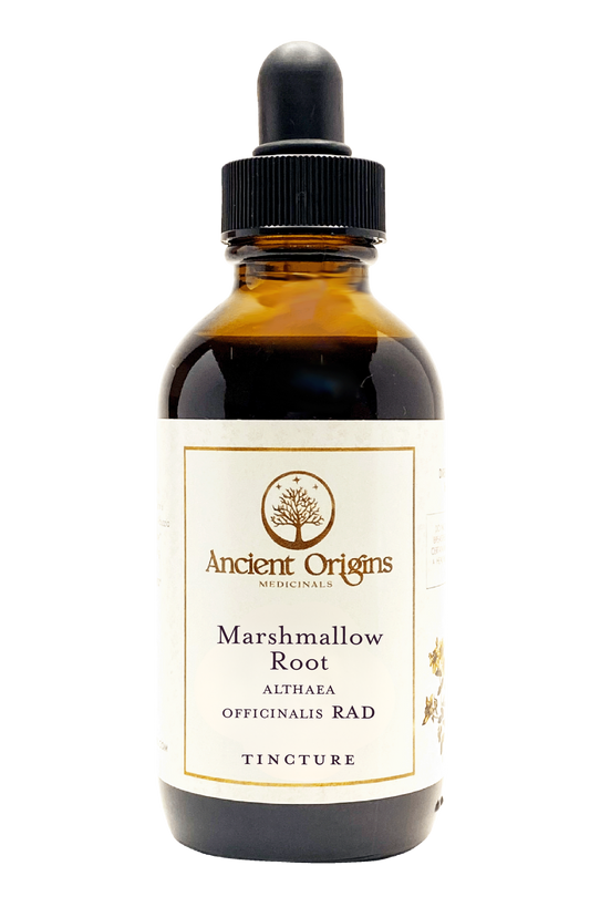 Marshmallow Root Tincture