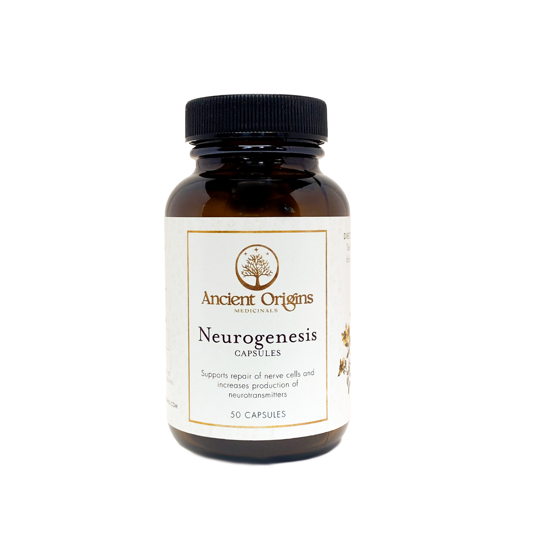 Neurogenesis Capsules