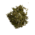 Coastal Mugwort Smoke Medicine